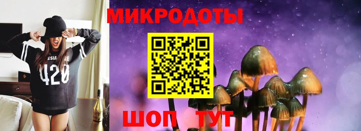 Котельники  купить наркотики сайты  Вход с VPN  Галлюциногенные грибы Psilocybine cubensis 